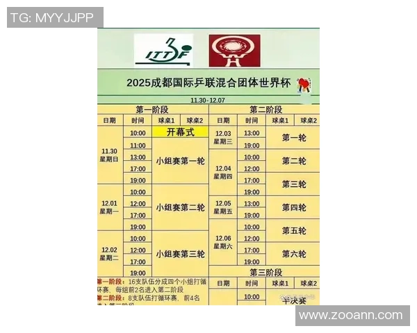 成都乒乓球队在世界锦标赛中的精彩表现与实力分析