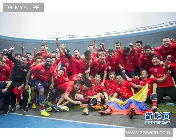 深圳足球队与北京足球队实力对比赛后分析与总结