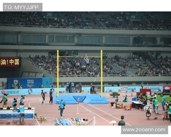 广州排球队在钻石联赛中的转型与挑战探索新篇章